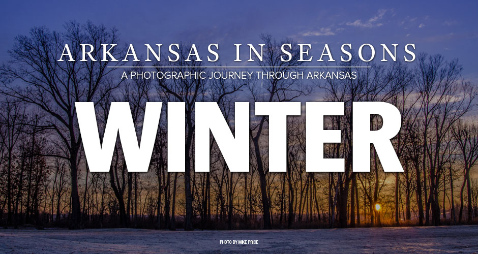 Arkansas in Seasons: Winter