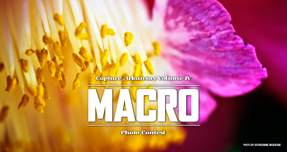 Macro