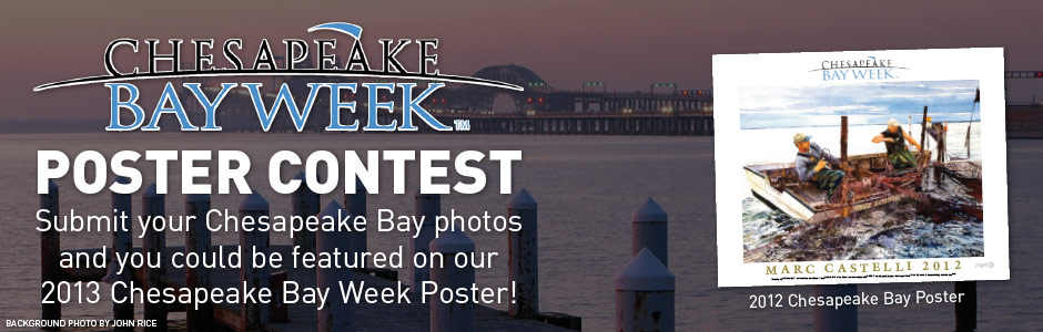 Chesapeake Bay Week Poster