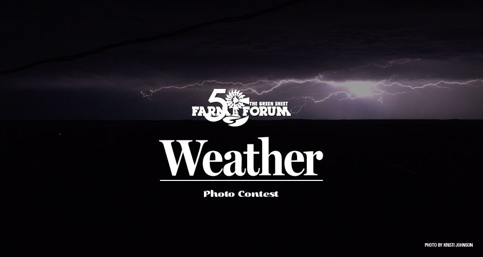 Weather