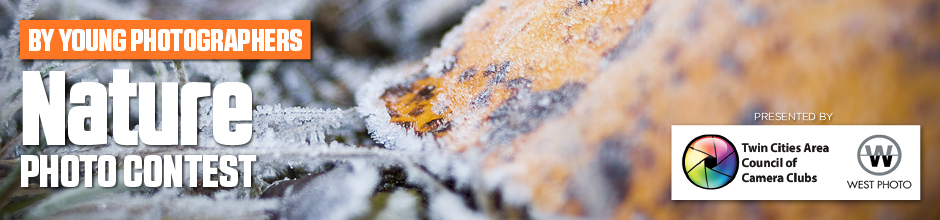 By Young Photographers: Nature