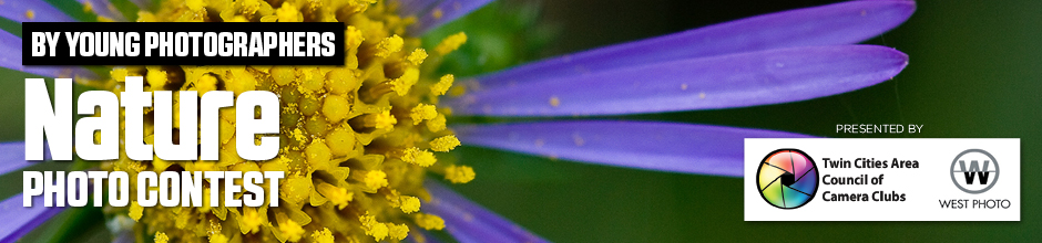 By Young Photographers: Nature
