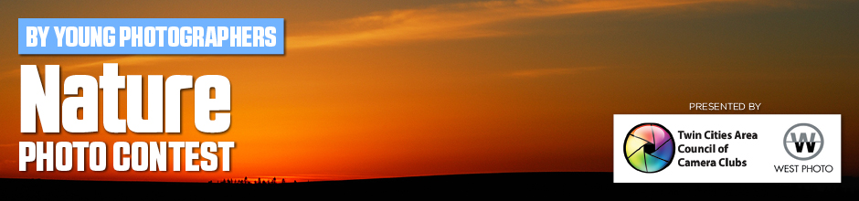 By Young Photographers: Nature