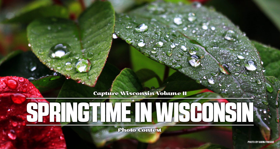 Springtime in Wisconsin